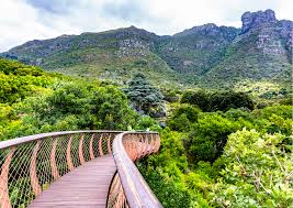 picture of Kirstenbosch